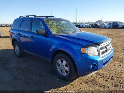 FORD ESCAPE XLT 2011