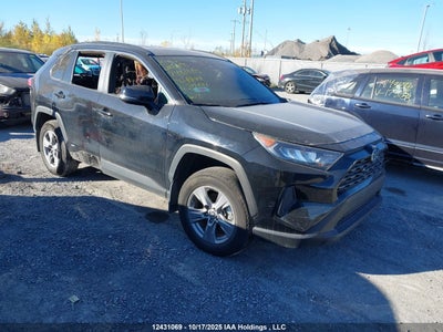 TOYOTA RAV4 2024
