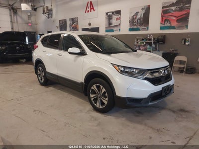HONDA CR-V 2019