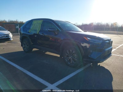 TOYOTA RAV4 2023