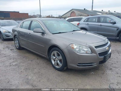 CHEVROLET MALIBU 2010
