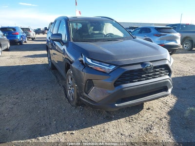 TOYOTA RAV4 2024