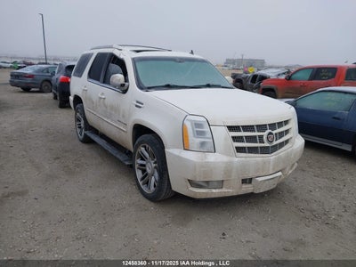 CADILLAC ESCALADE 2013