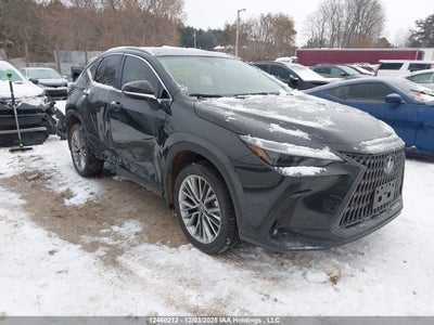 LEXUS NX 2026