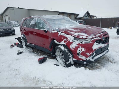 TOYOTA RAV4 2023