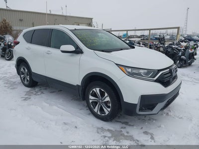 HONDA CR-V 2021