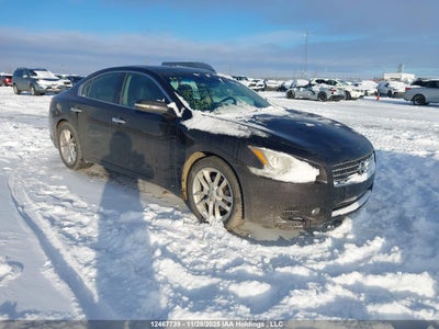 NISSAN MAXIMA 2011