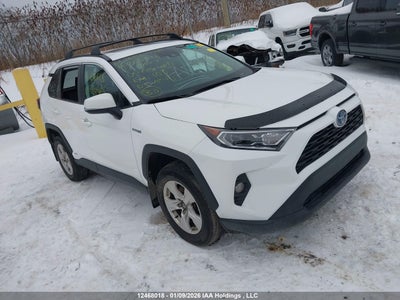 TOYOTA RAV4 2021