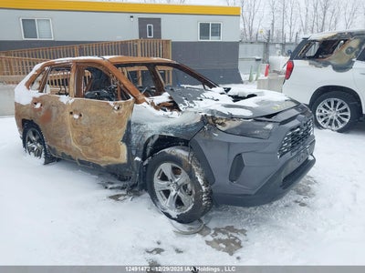 TOYOTA RAV4 2024