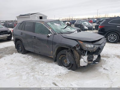 TOYOTA RAV4 2024