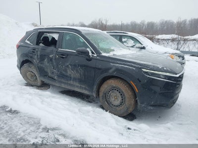 HONDA CR-V 2025