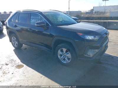 TOYOTA RAV4 2025