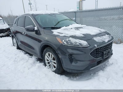 FORD ESCAPE 2020