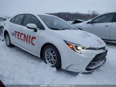 TOYOTA COROLLA HYBRID 2024