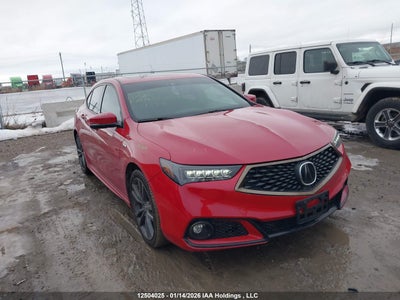 ACURA TLX 2019
