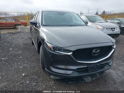 MAZDA GT 2019