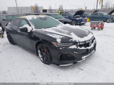 ACURA TLX 2024