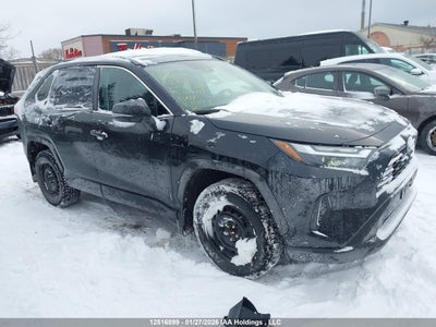 TOYOTA RAV4 2023