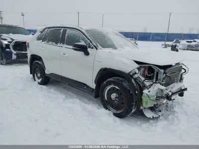 TOYOTA RAV4 2021