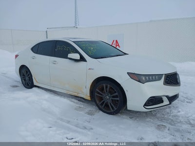 ACURA TLX 2019