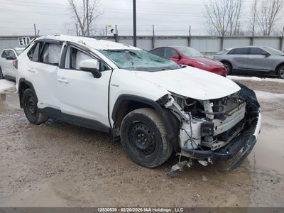 TOYOTA RAV4 2021