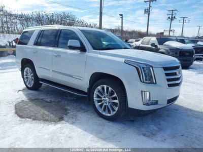 CADILLAC ESCALADE 2020