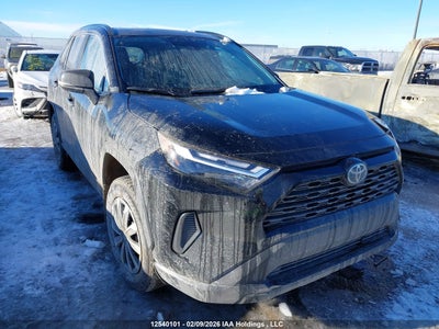 TOYOTA RAV4 2025