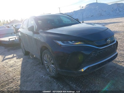 TOYOTA VENZA 2021