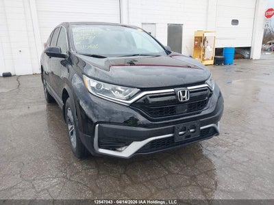 HONDA CR-V 2020