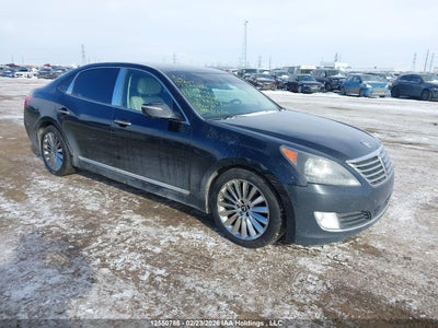 HYUNDAI EQUUS 2014