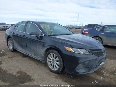 TOYOTA CAMRY 2019