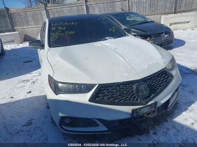 ACURA TLX 2019