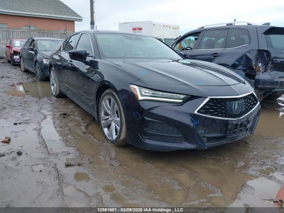ACURA TLX 2021
