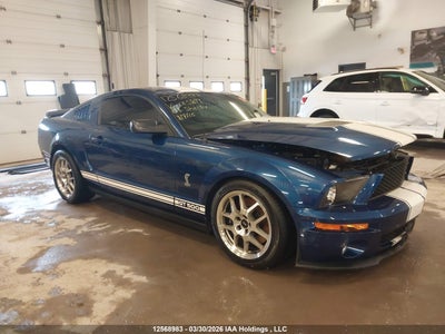 FORD SHELBY GT500 2007