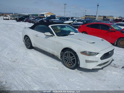 FORD MUSTANG 2021