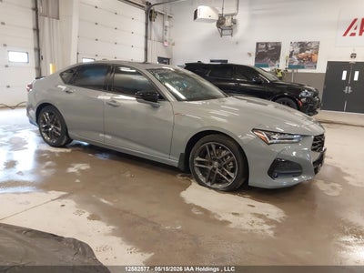 ACURA TLX 2024