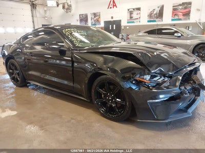 FORD MUSTANG 2019