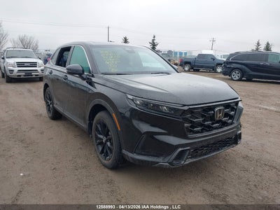 HONDA CR-V 2025