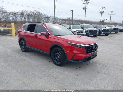 HONDA CR-V 2024