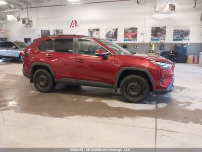 TOYOTA RAV4 2024