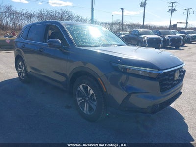 HONDA CR-V 2023