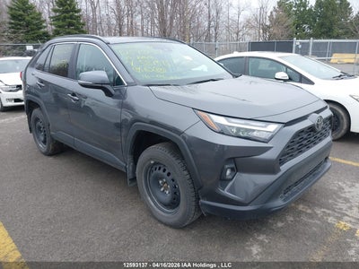 TOYOTA RAV4 2025