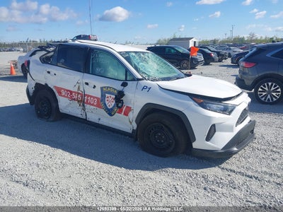 TOYOTA RAV4 2023