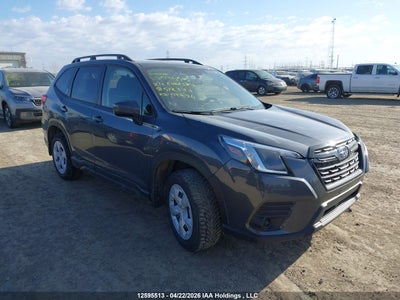 SUBARU FORESTER 2024