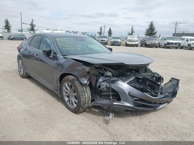 ACURA TLX 2021