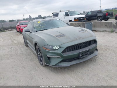 FORD MUSTANG 2019
