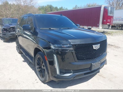 CADILLAC ESCALADE 2021