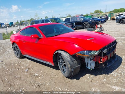 FORD MUSTANG 2019