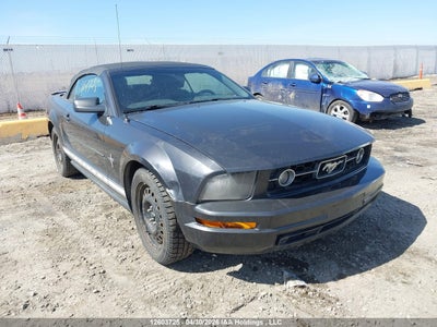 FORD Mustang Convertible 2007