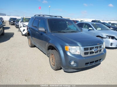 FORD ESCAPE 2010